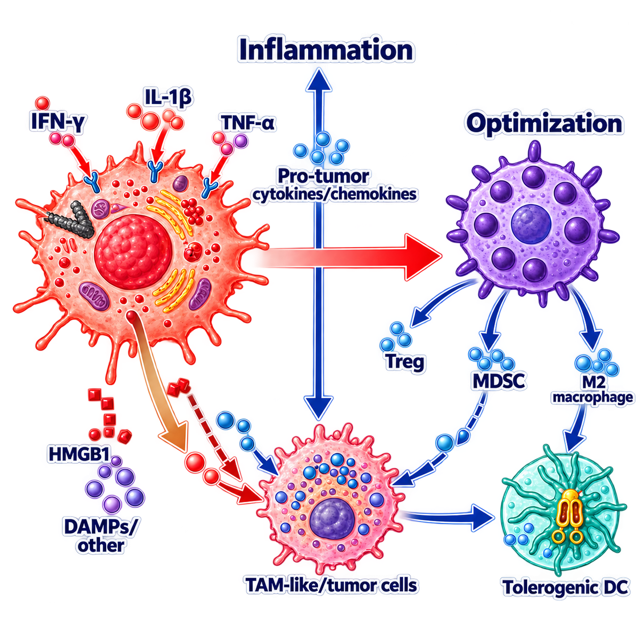 Mechanism and pathway graphical abstract example
