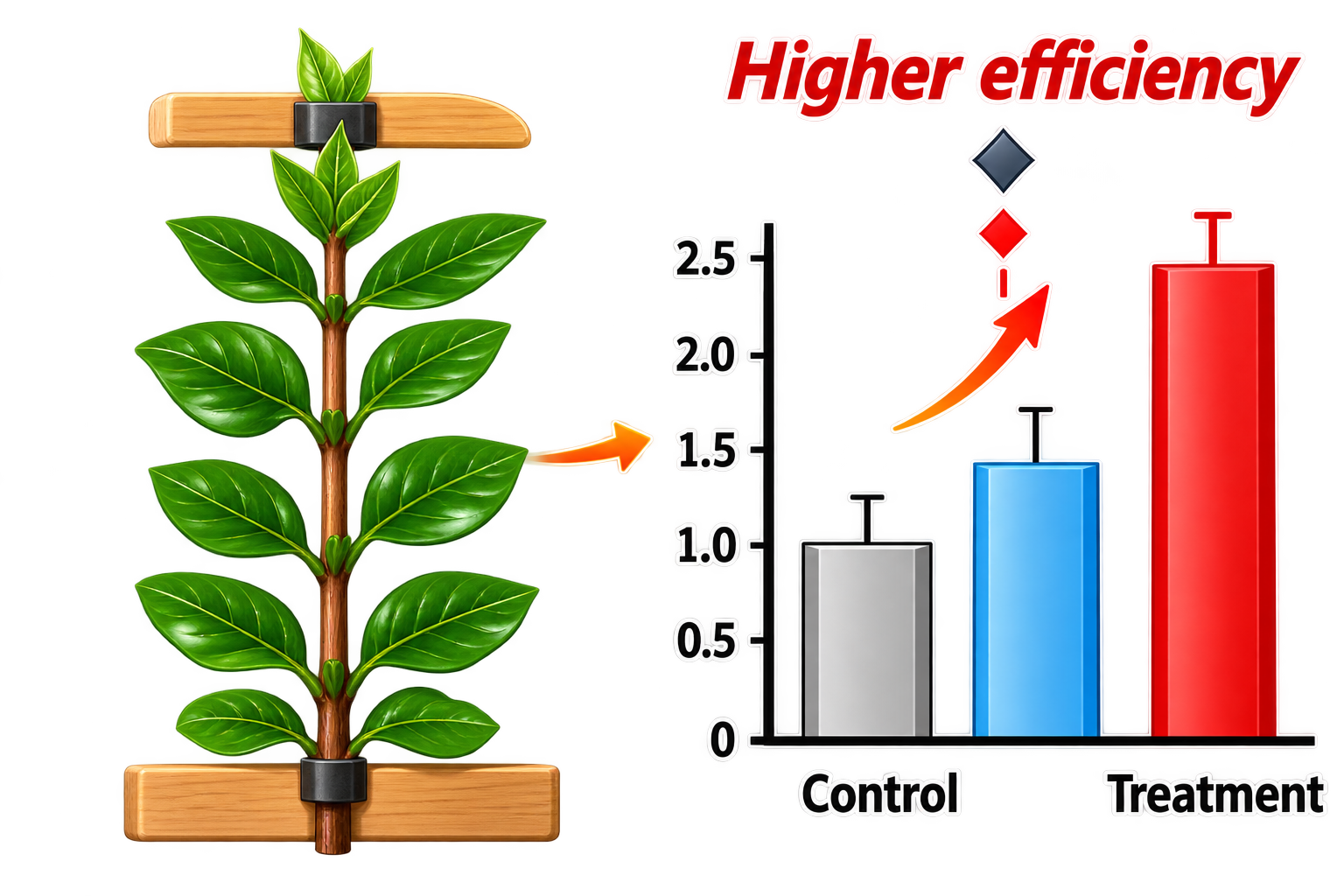 Results-focused graphical abstract example