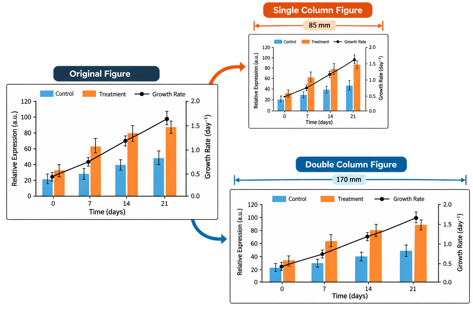 Single versus double column sizing illustrative example