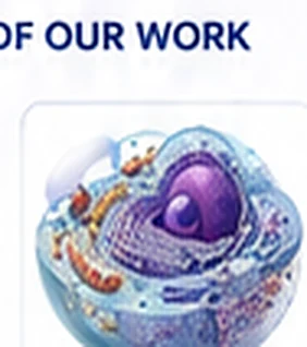 Cellular mechanism scientific illustration example