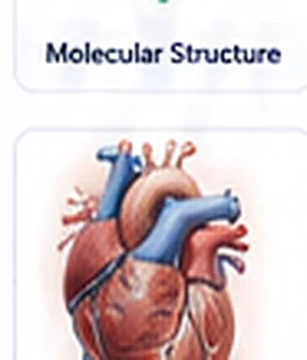 Medical anatomy scientific illustration example