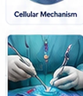 Surgical procedure illustration example
